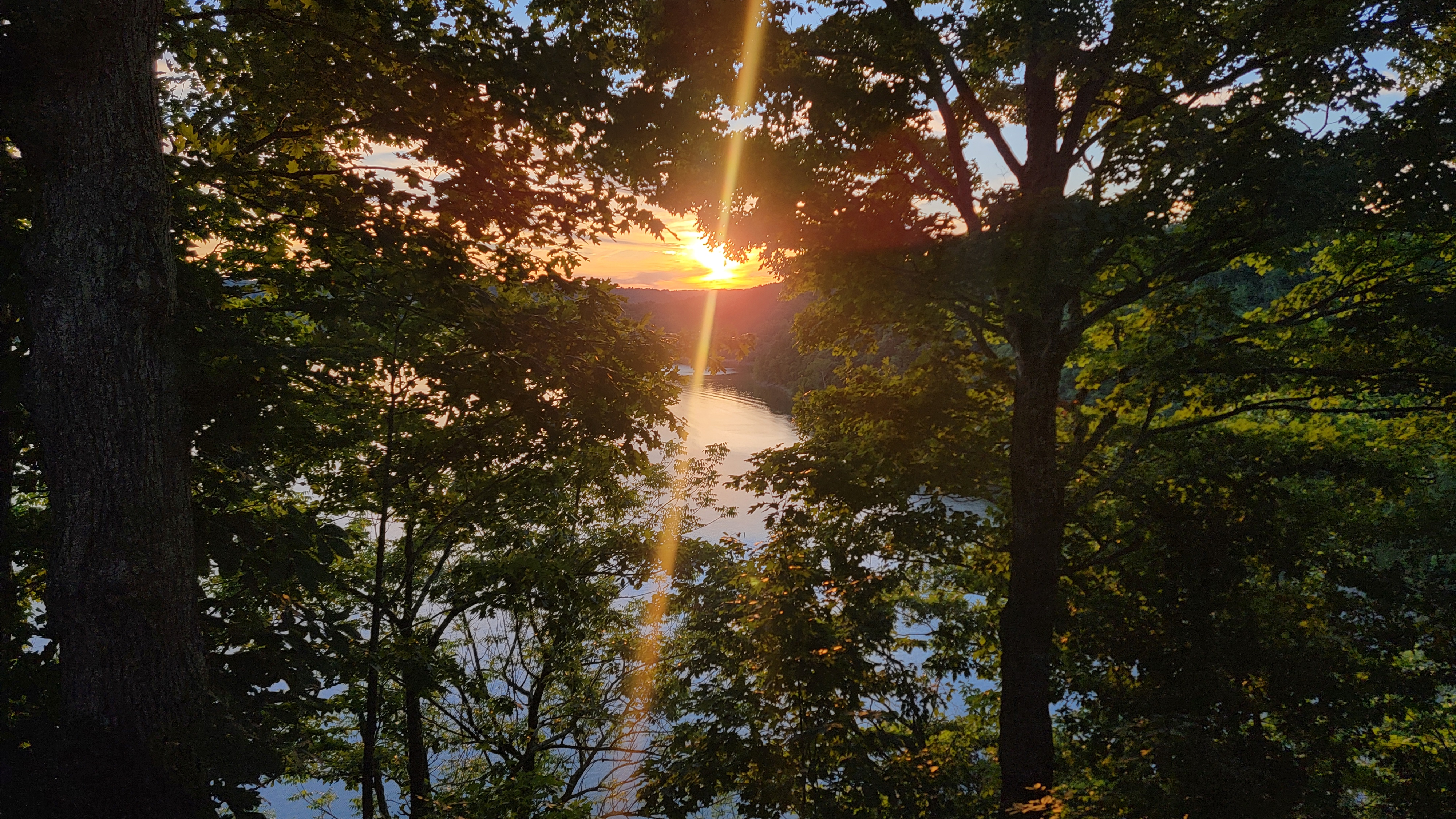 My Life in Synchronicity